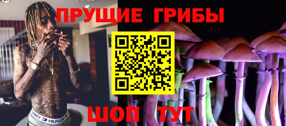 A PVP Зима