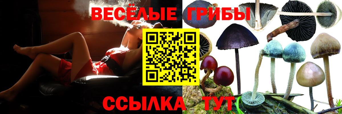 Alpha-PVP СК   Вход с VPN  Зима  Меф МЯУ МЯУ кристаллы  ГАШИШ  Бошки Шишки 