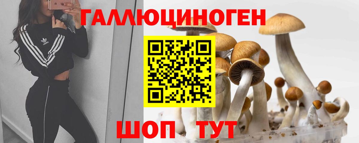 как найти закладки  Псилоцибиновые грибы Cubensis  Вход с VPN  Зима 